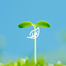 “绿色工厂理念”